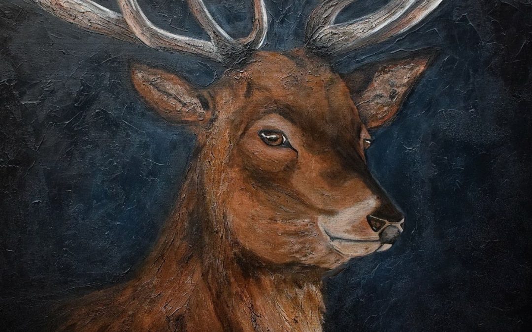 Edelhert in de nacht